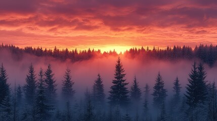 Majestic winter sunset over a misty forest landscape with silhouetted pine trees