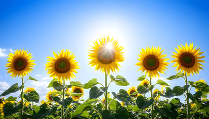 A Journey Through Stunning Landscapes