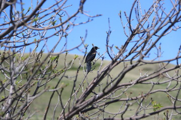 Scenery at Fairy Hill, Saskatchewan and area.