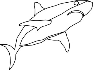Sea Animals Line Illustration