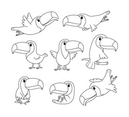 Set of toucan doodle collection, flamingo outline coloring page book animals for kindergarten, Vector line art set of animals wildlife, Hand drawn, Minimal toucan line art doodle in different pose © vesvocrea