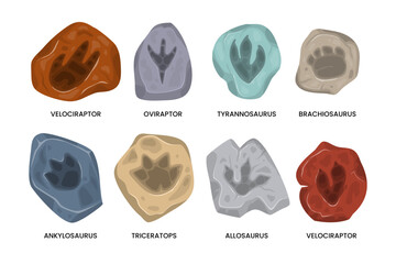 Set of Dinosaur footprint fossil collection, contain velociraptor, oviraptor, tyrannosaurus, brachiosaurus, ankylosaurus, triceratops, allosaurus, archeology stones with dino foot silhouette. © vesvocrea