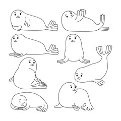 Set of Seals doodle collection, flamingo outline coloring page book animals for kindergarten, Vector line art set of animals wildlife, Hand drawn, Minimal seals line art doodle in different pose