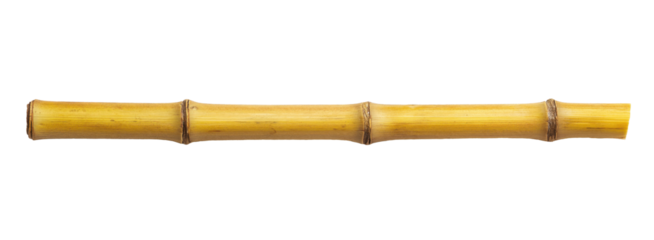 Horizontal bamboo stick isolated on transparent background