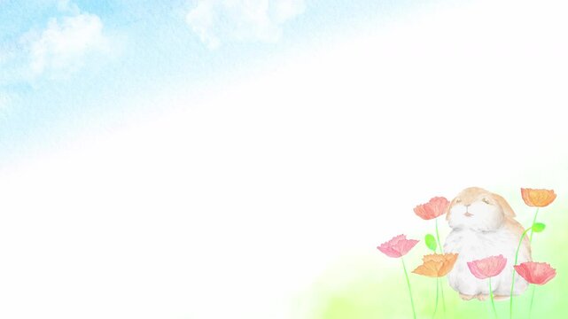 青空とポピーに囲まれた子ウサギの可愛い春フレーム。水彩画を使用したループアニメーション。
