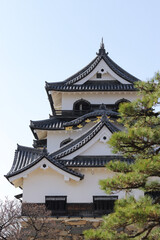 Hikone Castle photographed from the front