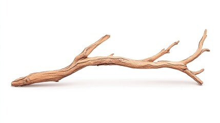 Obraz premium Natural driftwood branch with intricate textures, isolated on white background, ideal for decor