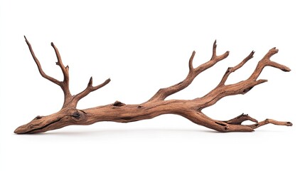 Fototapeta premium A beautifully textured, weathered driftwood branch lying on a white background, showcasing its natural form