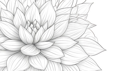 Fototapeta premium Graceful Floral Arrangement Featuring Elegant Dahlia Blossoms in Detailed Black and White Line Art