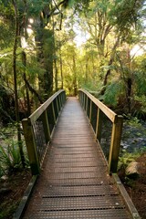 Obraz premium Small Wooden Bridge Over the Waikoropupū River in the Woods – Serene Nature Scene