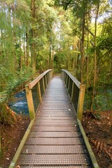 Fototapeta premium Small Wooden Bridge Over the Waikoropupū River in the Woods – Serene Nature Scene
