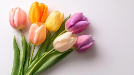 Naklejka premium Freshly cut vibrant tulip flowers on white isolated background. Generative AI
