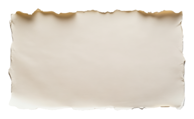 Old parchment paper with torn edges, textured background. Vintage stationery and creative writing concept