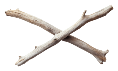 Crossed driftwood sticks on transparent background, natural texture. Minimalist design and organic decor concept