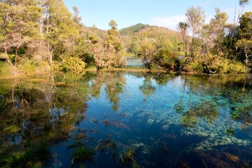 Crystal Clear Water in Te Waikoropupū Springs – Pristine Natural Beauty