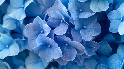 A beautiful Flowers composition Flora pattern top view.