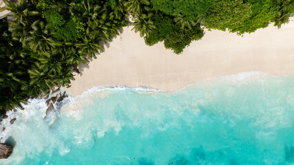 Bright azure waters with sandy shoreline and surrounding tropical trees. Seychelles, Mahe. Petite Anse.