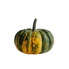 Striped Pumpkin: A vibrant, miniature pumpkin with a unique green and yellow striped pattern stands out against a plain background, ready to add a touch of fall charm to your projects. 
