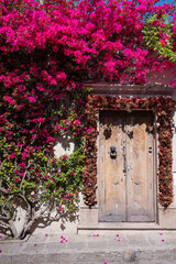 Fototapeta premium Coloful Colonial Door and doorway with plants and flowers - rustic doors of San Miguel de Allende in Mexico - Mexican tourist hot spot