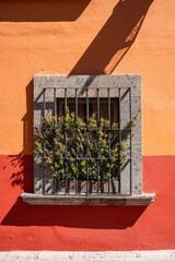 Colorful window with plants and flowers. Colonial building, house with colored walls of orange, yellow and red of San Miguel de Allende Mexico