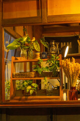 A rustic wooden shelf adorned with lush green plants, dried flowers, and vintage décor, illuminated by warm ambient lighting, creating a cozy and inviting atmosphere.