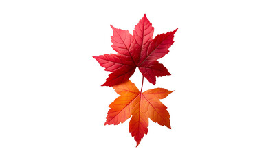 Autumn leaves, red and orange, close-up, dark background, fall design