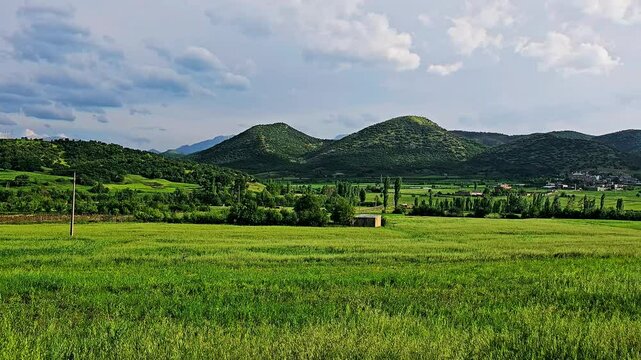 A serene moment captured in soft rain, where vibrant nature comes to life with a touch of freshness.
📍Marivan - Kurdistan 
