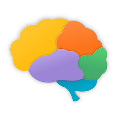 A graphical representation of the brain