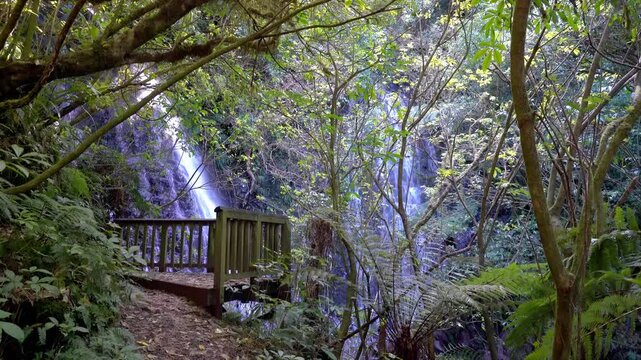 Bara Falls Hidden Behind Lush Forest Plants, Waterfall in Dense Foliage