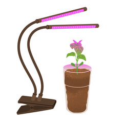 Glass with soil and pepper sprout illuminated by special ultraviolet lamp. Growing home garden. Farm planting, growing crops. Vector illustration isolated on transparent background.