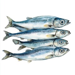 Obraz premium Fresh Watercolor Illustration of Four Fish on a White Background