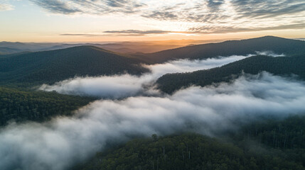 Fototapeta premium Misty Mountain Sunrise Aerial View Scenic Landscape Photography Fog Sky Dawn Calm Trees Light Image 