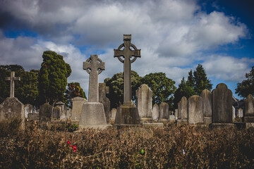 Celtic Crosses in Glasnevin Cemetery, Dublin