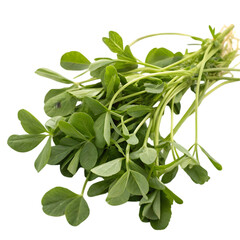 fenugreek leaves
