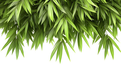 Lush green bamboo leaves, hanging, backdrop, nature,  website design