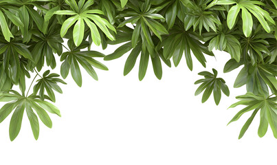 Obraz premium Lush green leaves arch, nature background, botanical design, website header