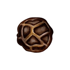 Realistic watercolor illustration of black pepper. A natural spicy ingredient with detailed texture. Perfect for packaging design, culinary blogs, menus, and restaurant branding.
