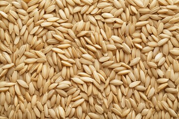 Uncooked Rice Grains Close-up; Texture; Background of Unhulled Grains