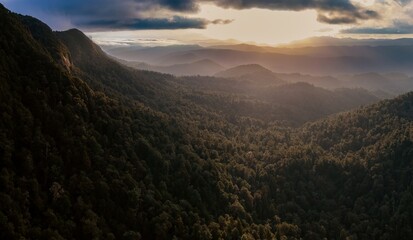 Obraz premium Golden hour light bathes a mountain range, dense forest slopes covered in trees. Epic mountain scenery. Lake Waikaremoana Track, Hawkes Bay, New Zealand