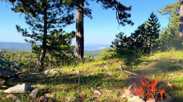 Bonfire in the Taurus Mountains in Turkey. Tongues of flame. Tazi Canyon. Relaxing by the campfire in the forest overlooking the green valley. Camping under tall pines.4K