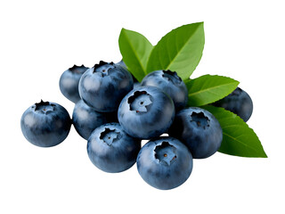 Fresh blueberries with bluberry leaves isolated on white background. Top vew.