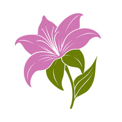 Elegant Of A Pink Lili Flower