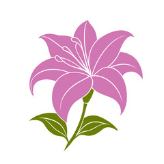 Elegant Of A Pink Lili Flower