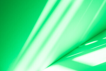 Wall interior background, studio and backdrops show products. with leaf shadow from window color green and white. background for text insertion and presentation of product	