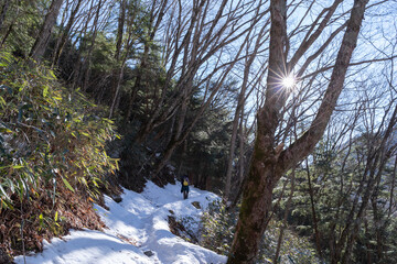 雪が積もった冬の登山道