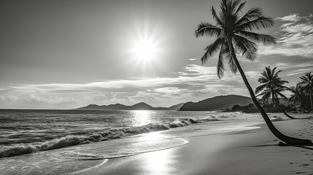 beach black and white thailand