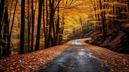 Fototapeta premium mosaic fall mountain road