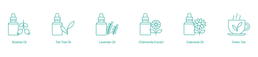 Herbal Skincare and Beauty Product Vector Icons