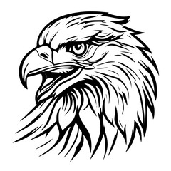 Fototapeta premium head of eagle