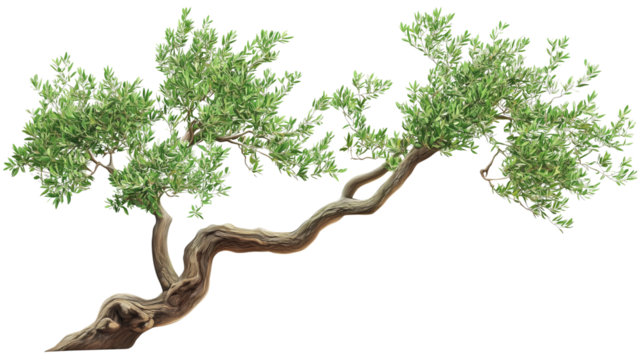 A single, leafless tree stands in the middle of a foggy landscape, its bare branches reaching out like veins against the soft on transparent png background. Ai generated